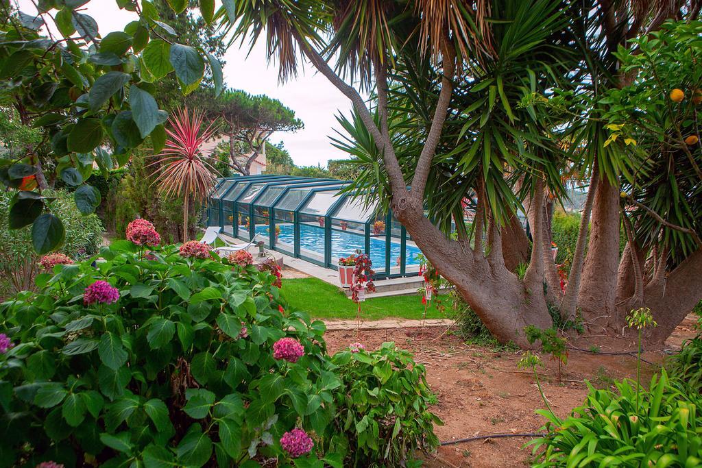 Quinta Santo Antonio Hotell Colares Exteriör bild
